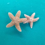Starfish