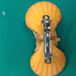 Clip